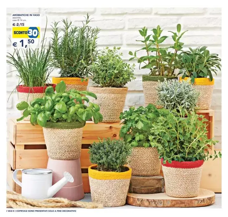 Festa dei fiori da 23 aprile a 6 maggio di 2025 - Pagina del volantino 12