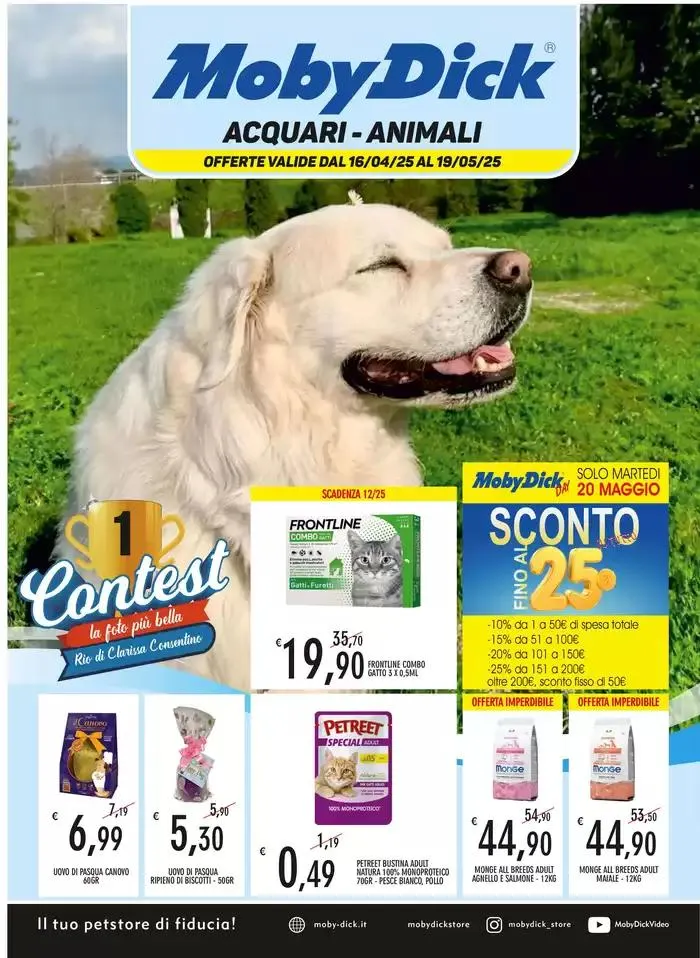 Acquari - animali - 1