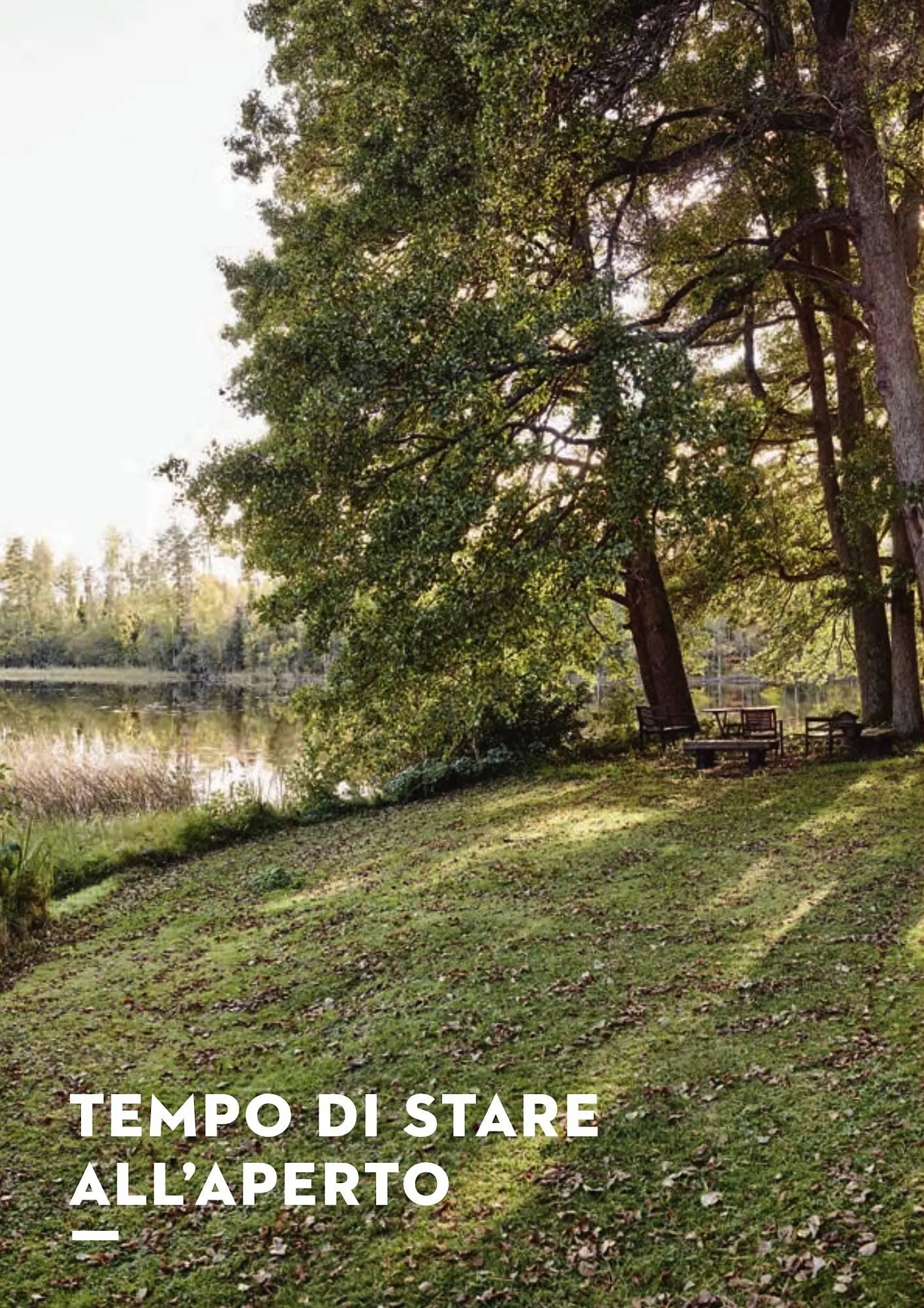 Volantino Stihl da 25 gennaio a 4 gennaio di 2025 - Pagina del volantino 2