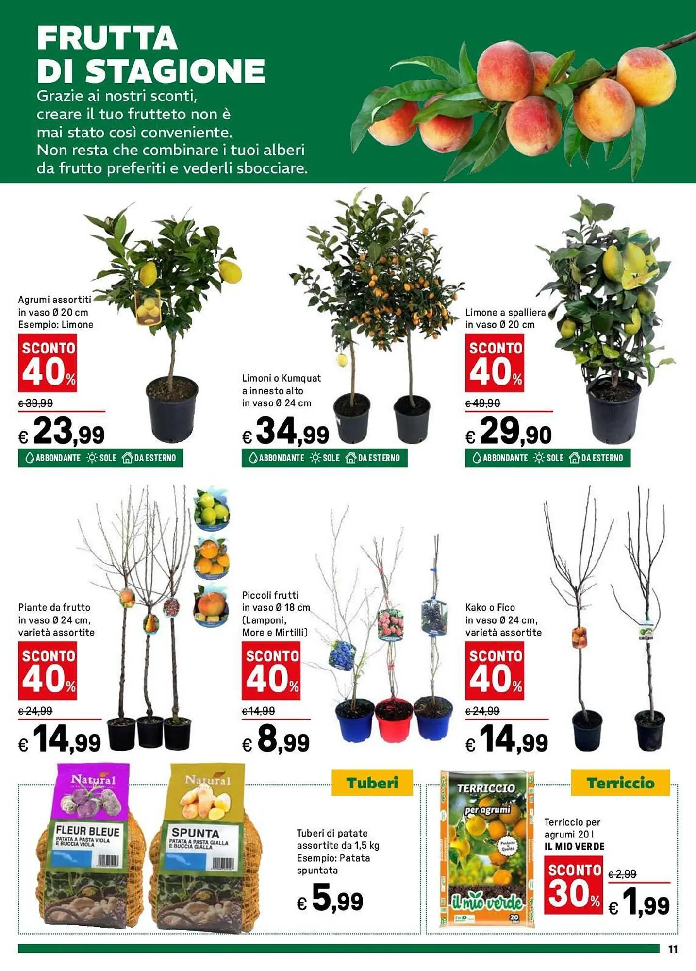 Volantino Iper La Grande da 17 marzo a 13 aprile di 2025 - Pagina del volantino 11