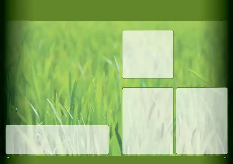 Planet da 1 aprile a 30 settembre di 2025 - Pagina del volantino 53