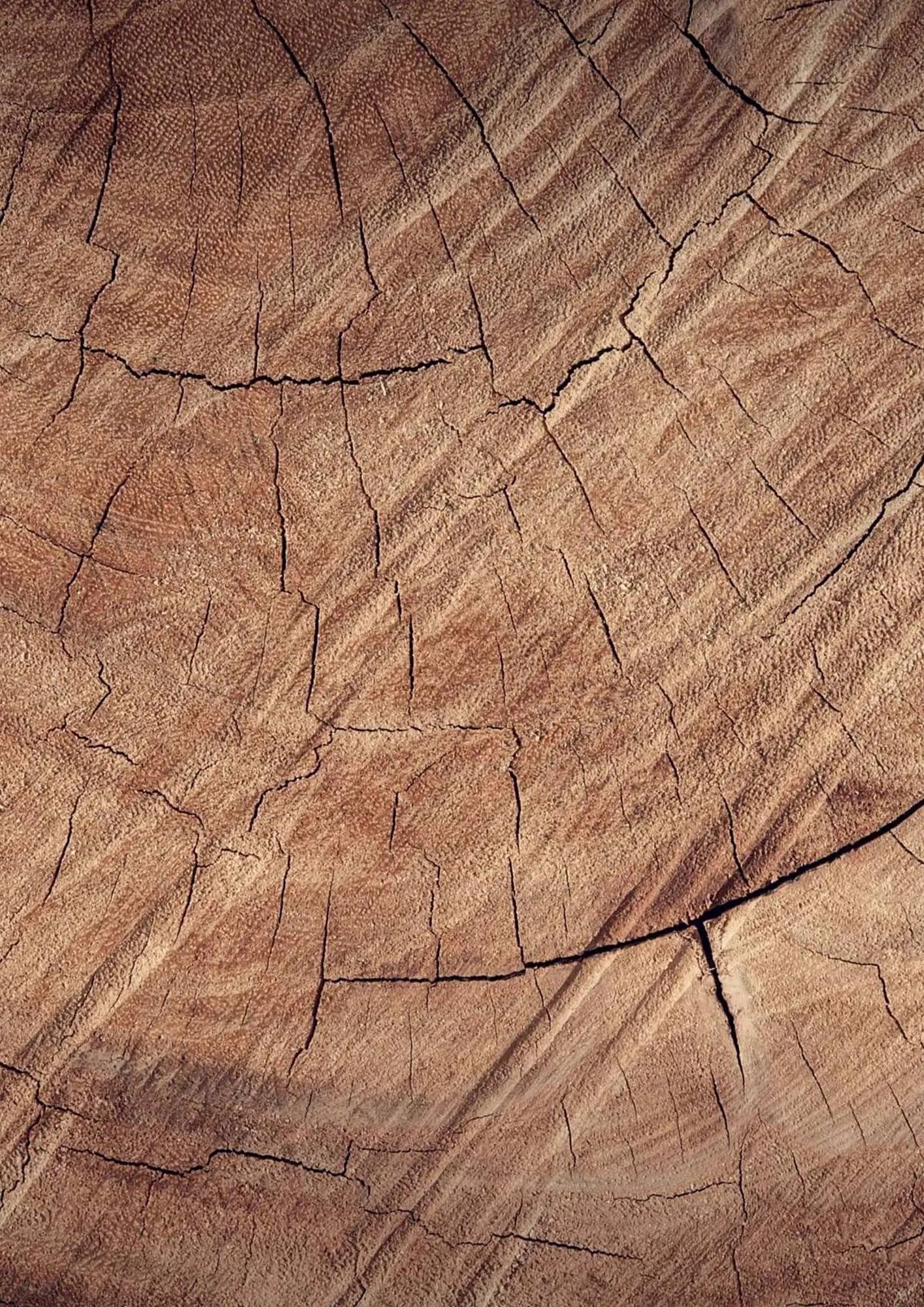 Volantino Porcelanosa da 18 febbraio a 31 dicembre di 2025 - Pagina del volantino 49