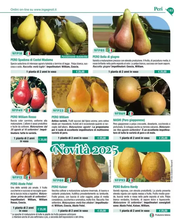 Catalogo guida 2025 da 20 gennaio a 31 dicembre di 2025 - Pagina del volantino 185