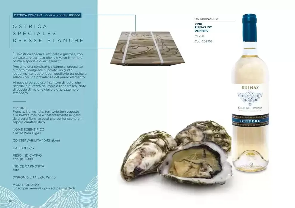 Centro Cash Ostriche da 4 dicembre a 31 gennaio di 2025 - Pagina del volantino 18