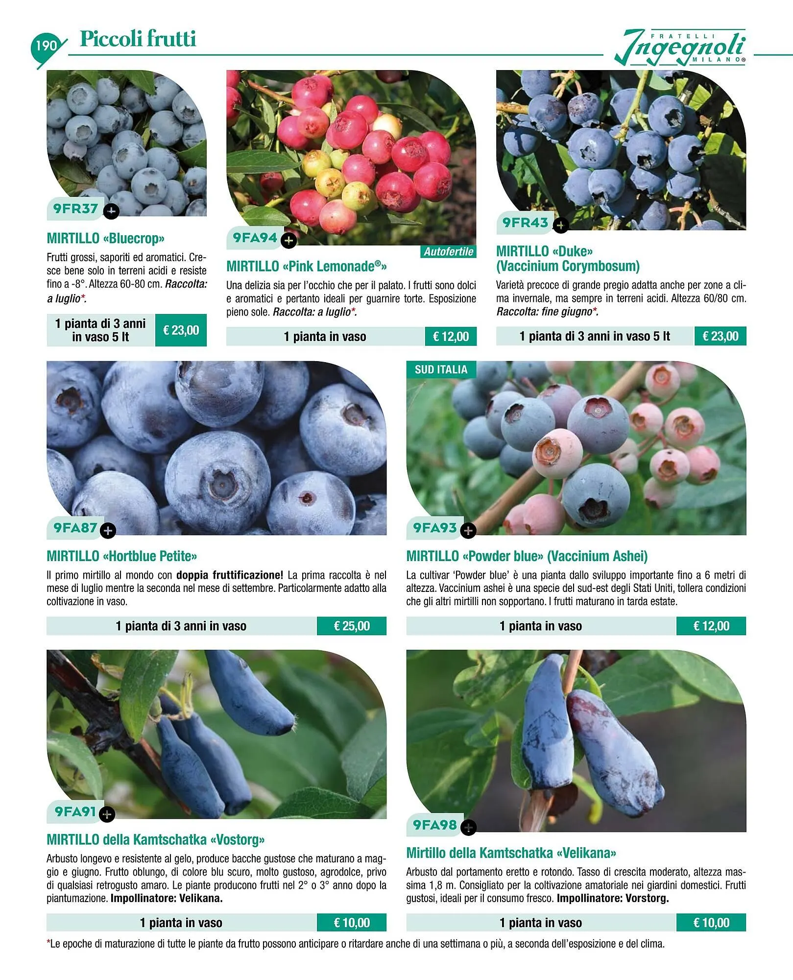 Volantino Ingegnoli da 4 novembre a 31 dicembre di 2025 - Pagina del volantino 192