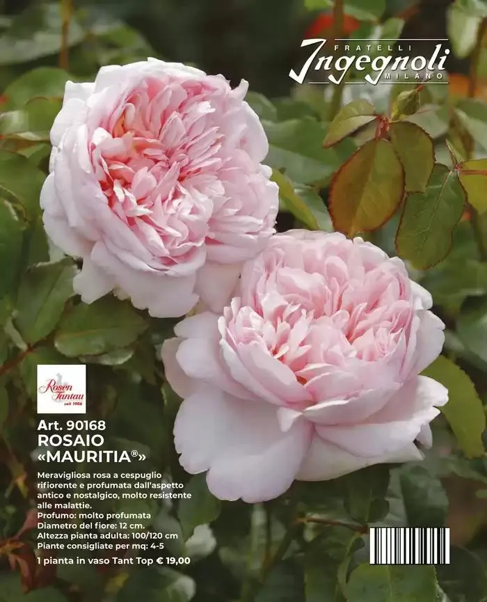 Catalogo guida 2025 da 20 gennaio a 31 dicembre di 2025 - Pagina del volantino 220