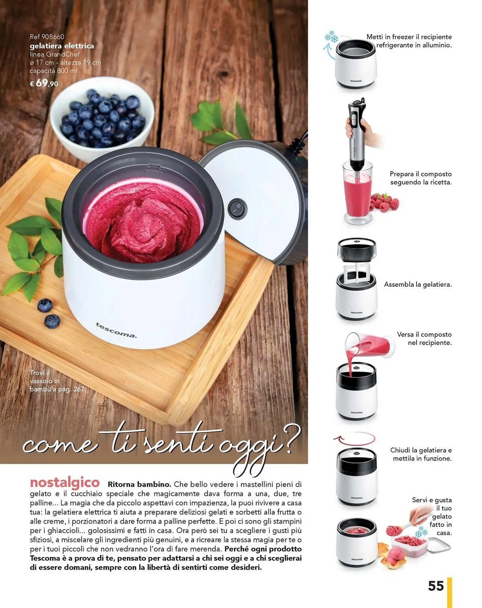 Volantino Tescoma da 27 giugno a 31 dicembre di 2025 - Pagina del volantino 55