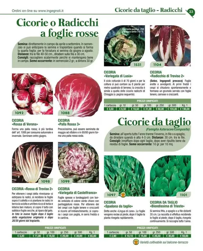 Catalogo guida 2025 da 20 gennaio a 31 dicembre di 2025 - Pagina del volantino 25