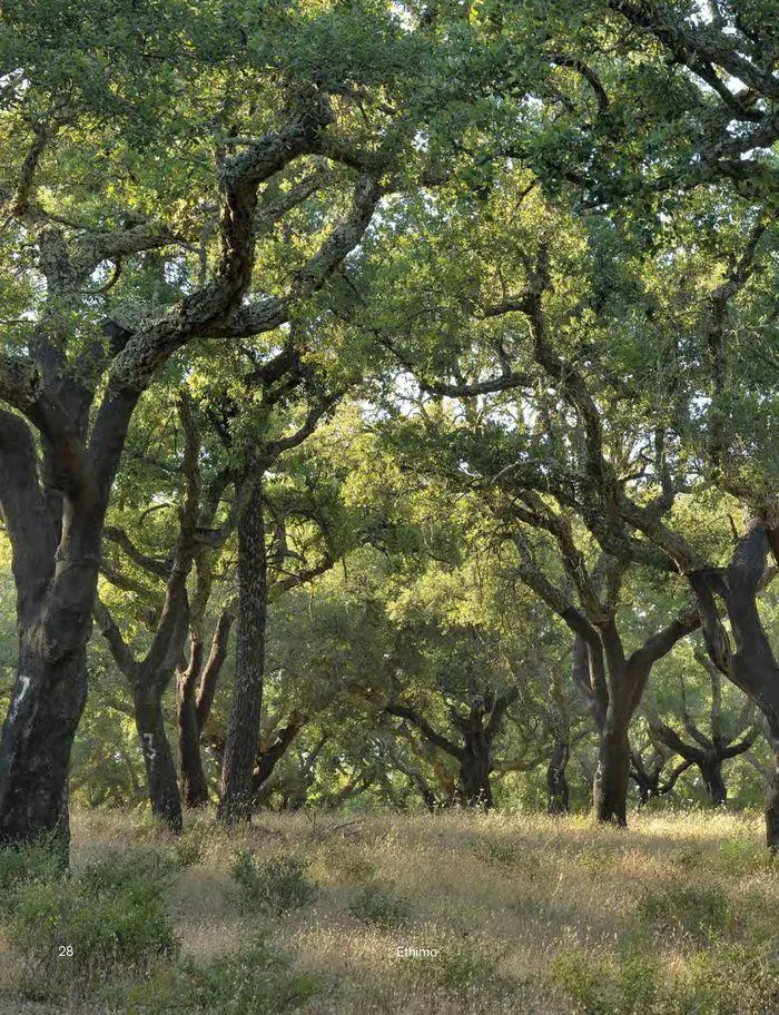 Outdoor decor collections 2024 da 1 febbraio a 30 giugno di 2024 - Pagina del volantino 30