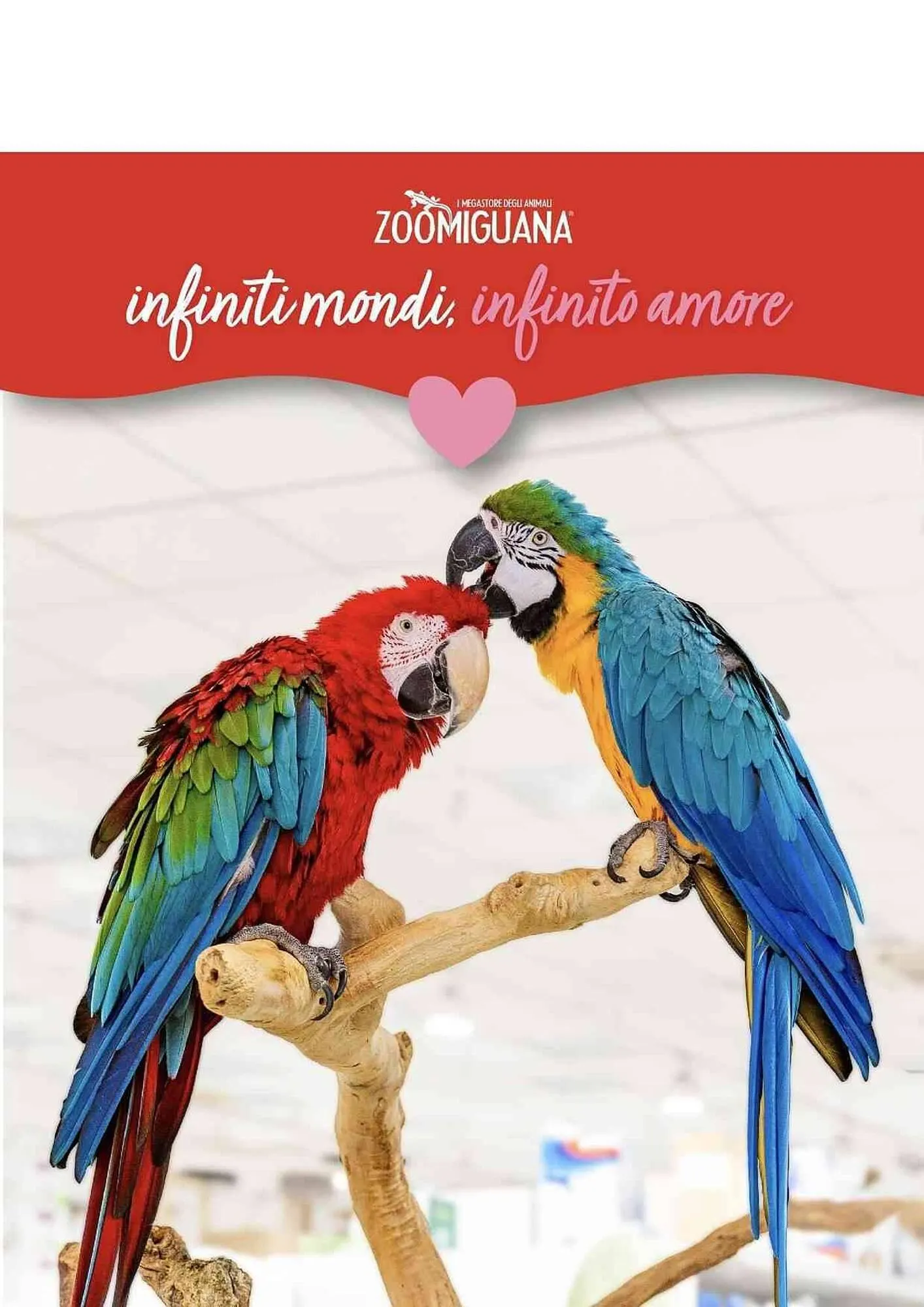 Volantino Zoomiguana da 15 febbraio a 1 marzo di 2026 - Pagina del volantino 3