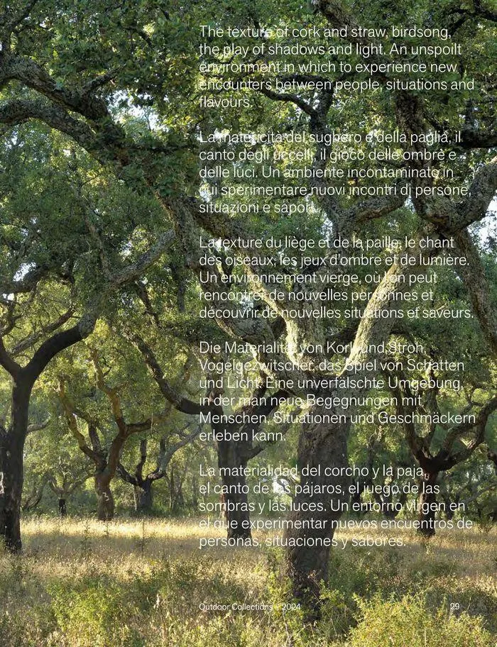 Outdoor decor collections 2024 da 1 febbraio a 30 giugno di 2024 - Pagina del volantino 31