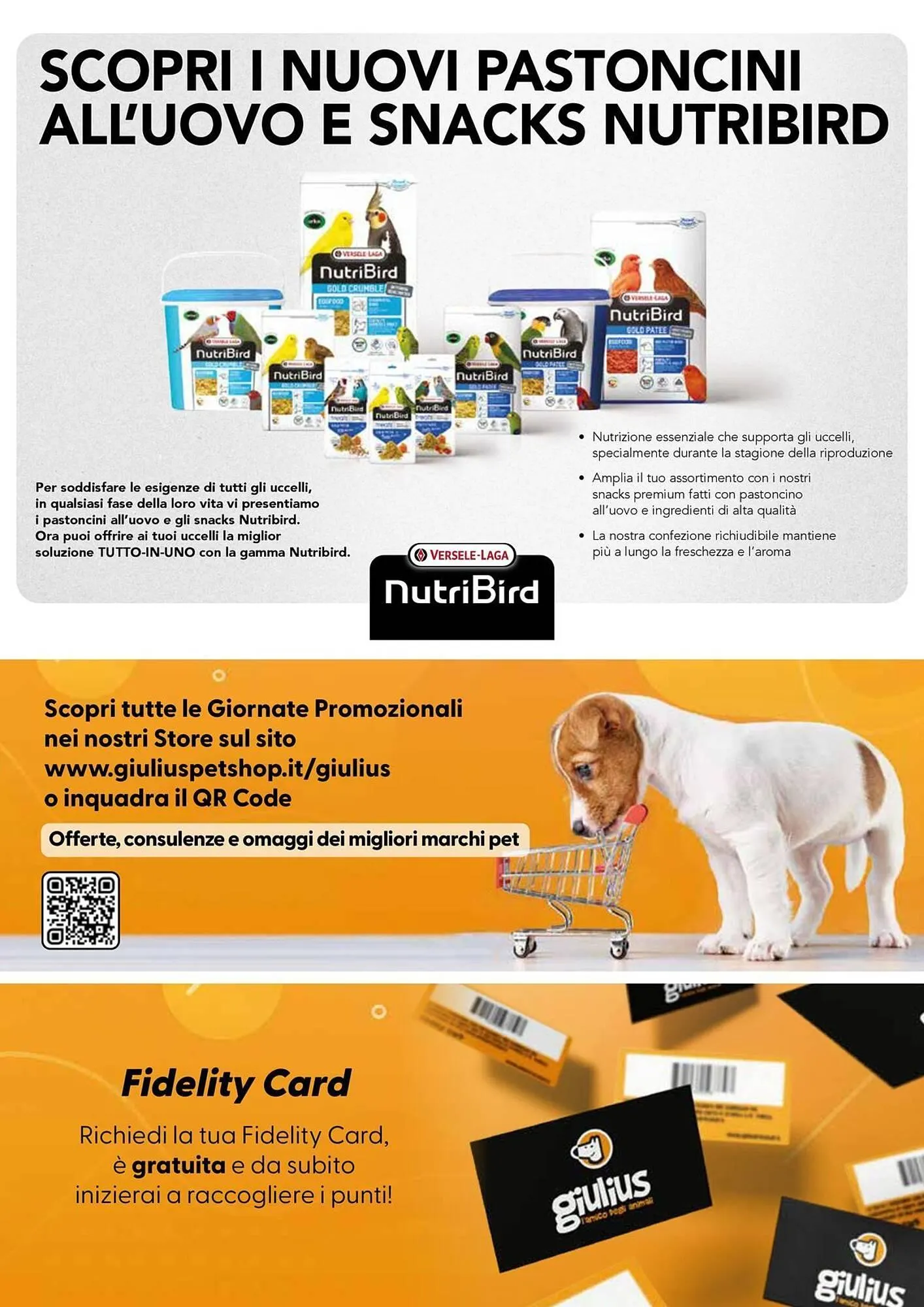 Volantino Giulius da 1 luglio a 31 agosto di 2025 - Pagina del volantino 12