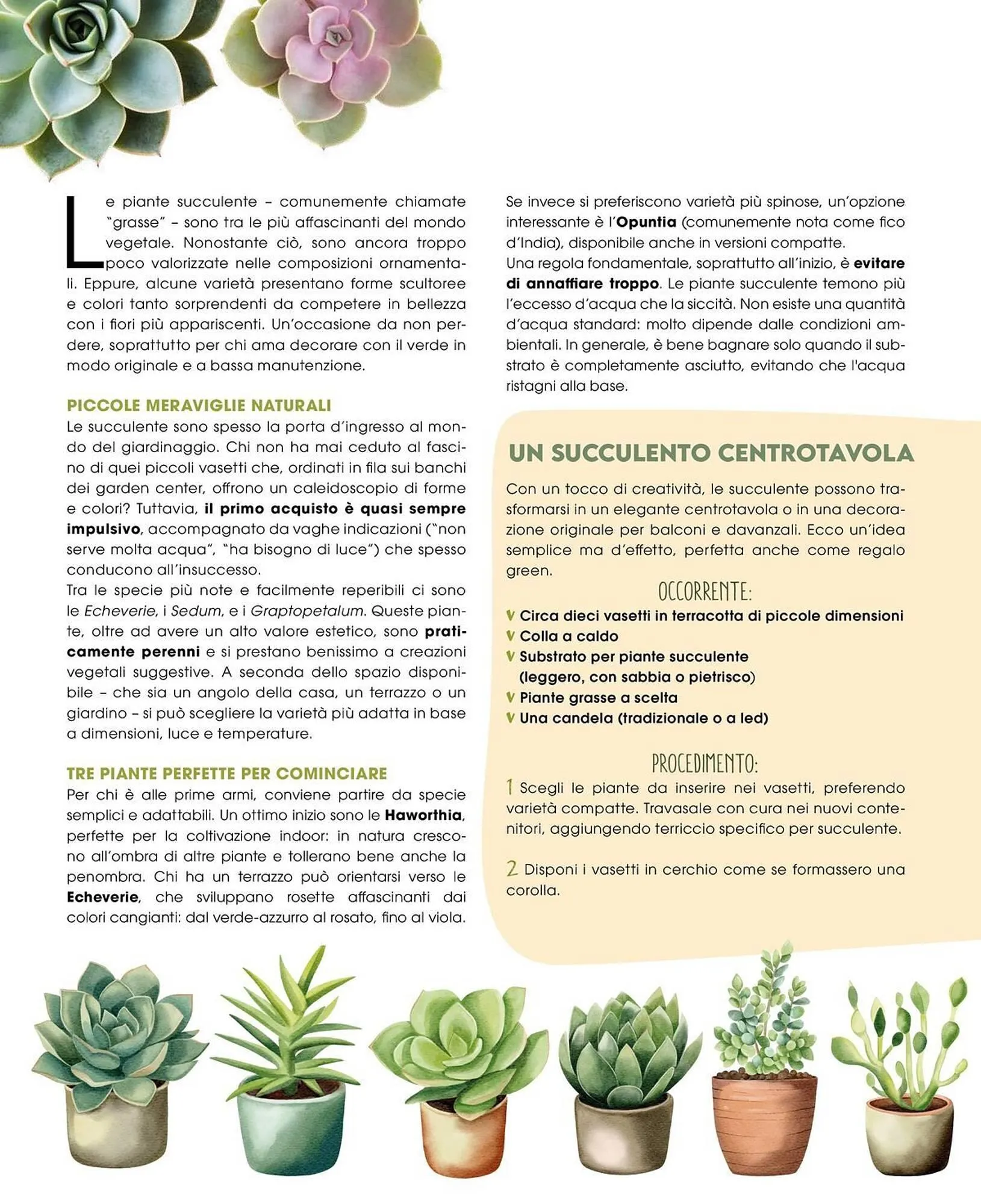 Volantino A&O da 1 luglio a 31 agosto di 2025 - Pagina del volantino 35