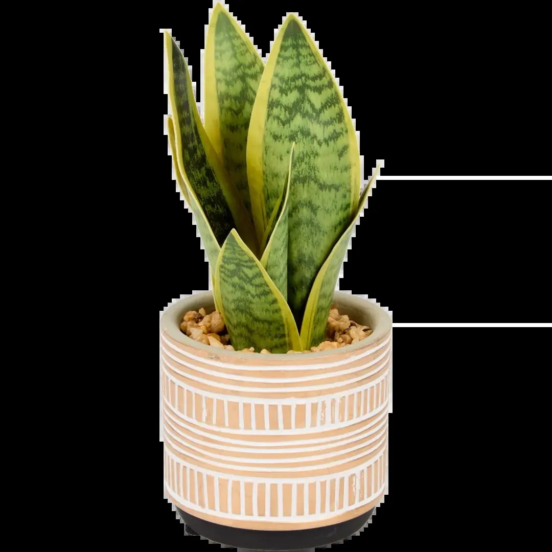 Sansevieria artificiale in vaso The Hamptons Collections HOME