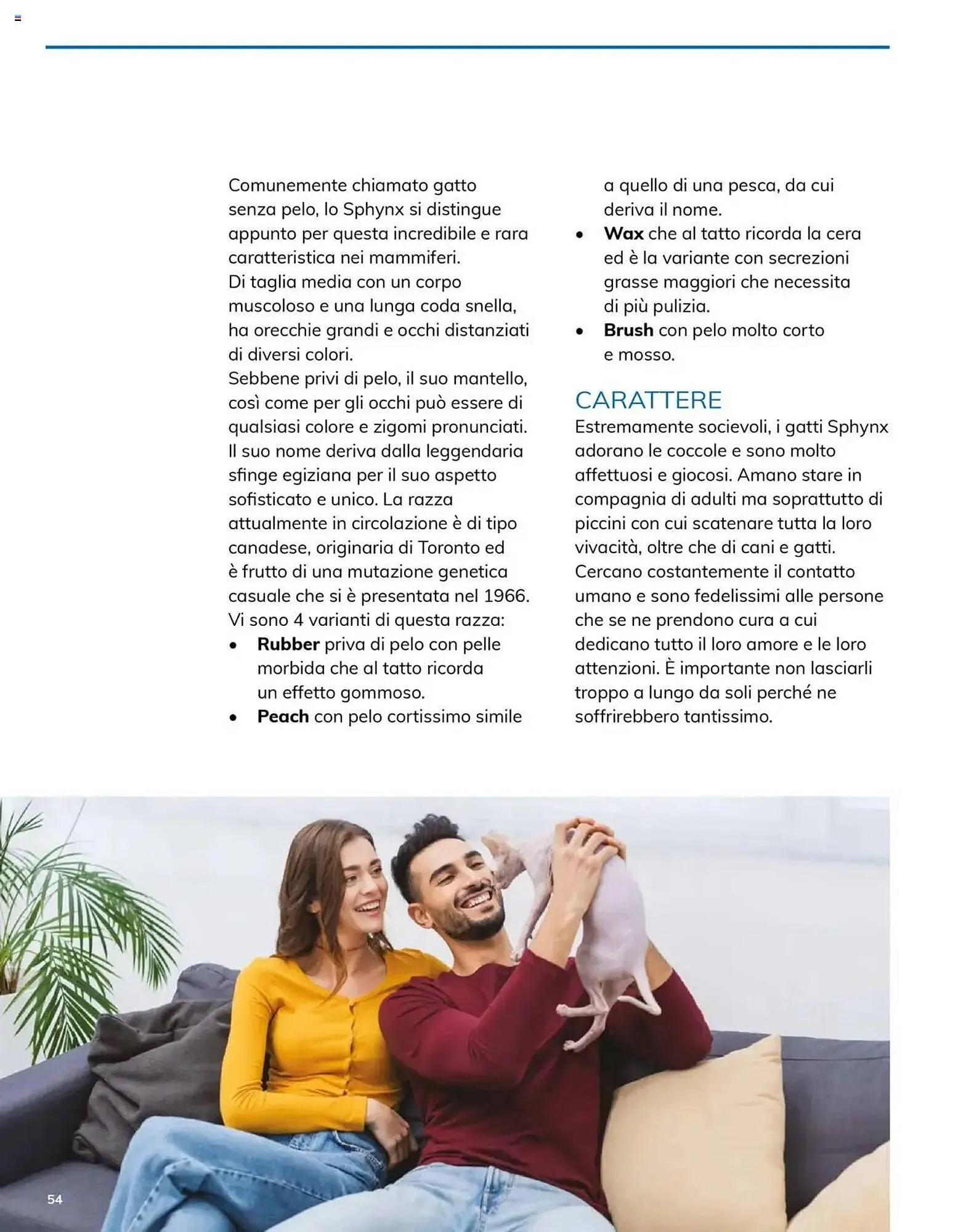 Volantino Basko da 8 maggio a 30 giugno di 2025 - Pagina del volantino 54