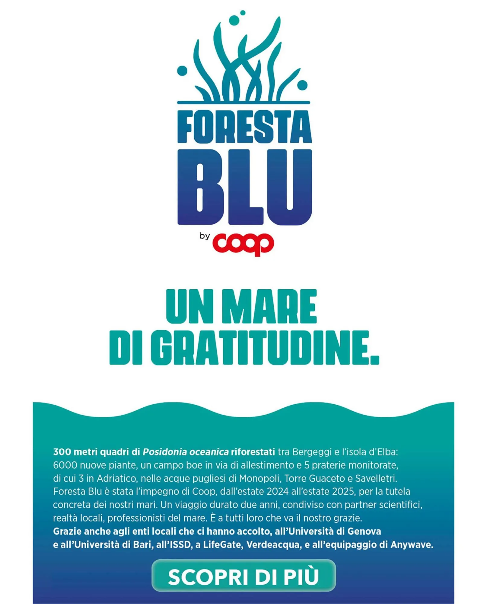 Volantino Ipercoop da 23 ottobre a 5 novembre di 2025 - Pagina del volantino 38