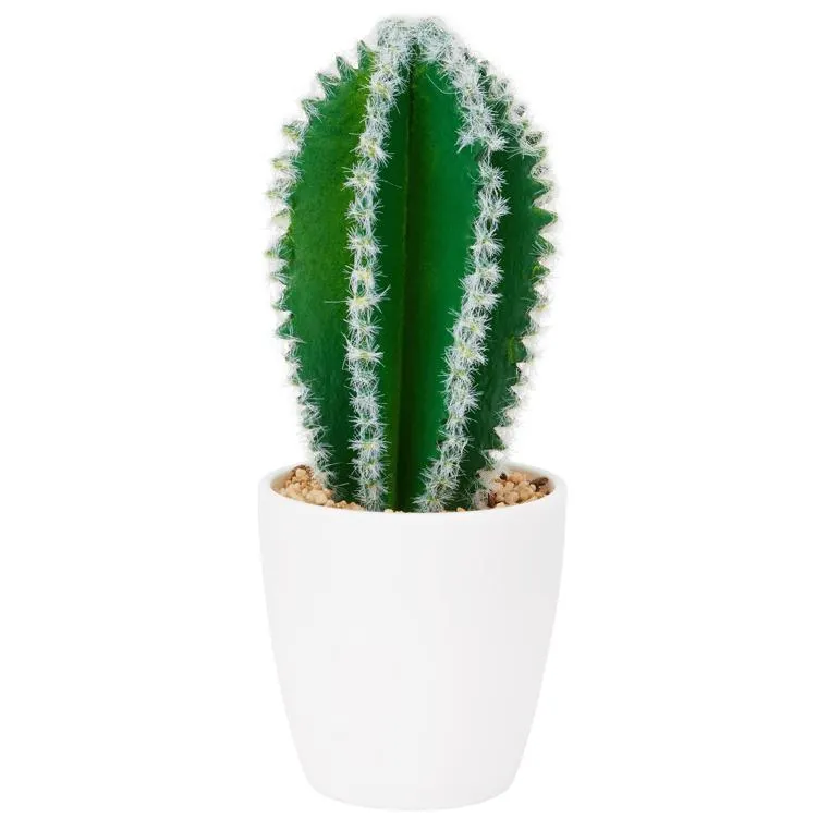 Cactus finto in vaso