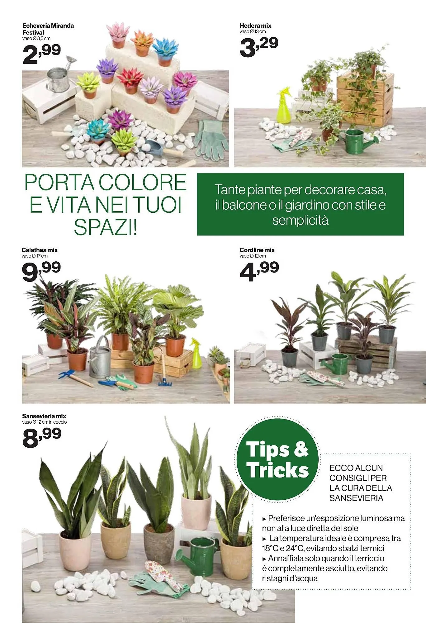 Volantino In'S Mercato da 16 luglio a 27 luglio di 2025 - Pagina del volantino 16