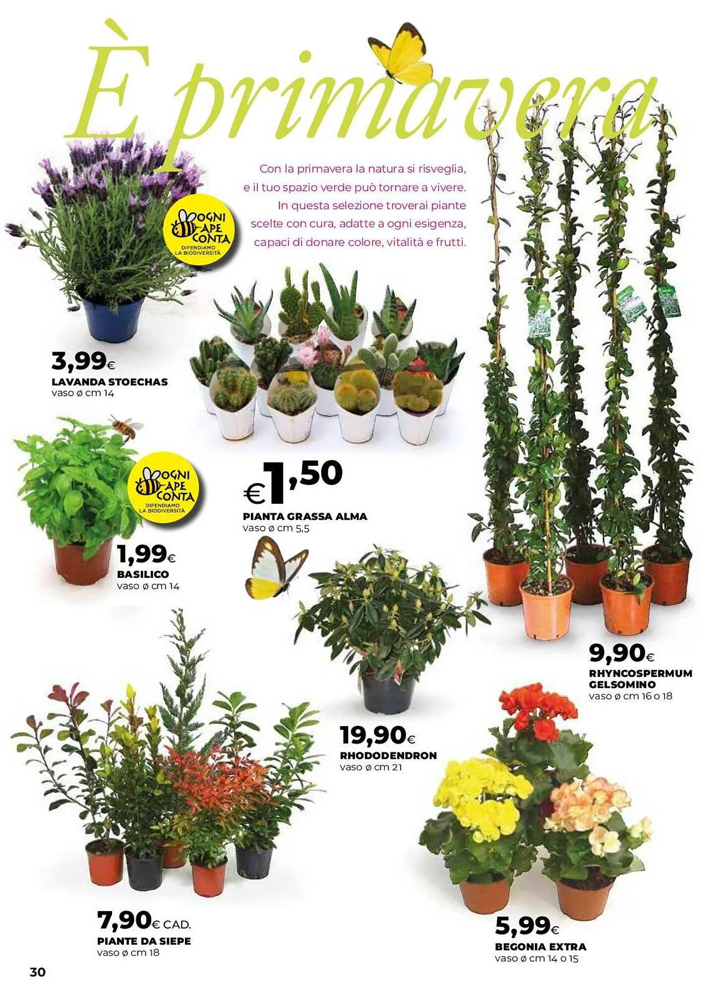 Volantino Ipercoop da 12 marzo a 22 aprile di 2026 - Pagina del volantino 30