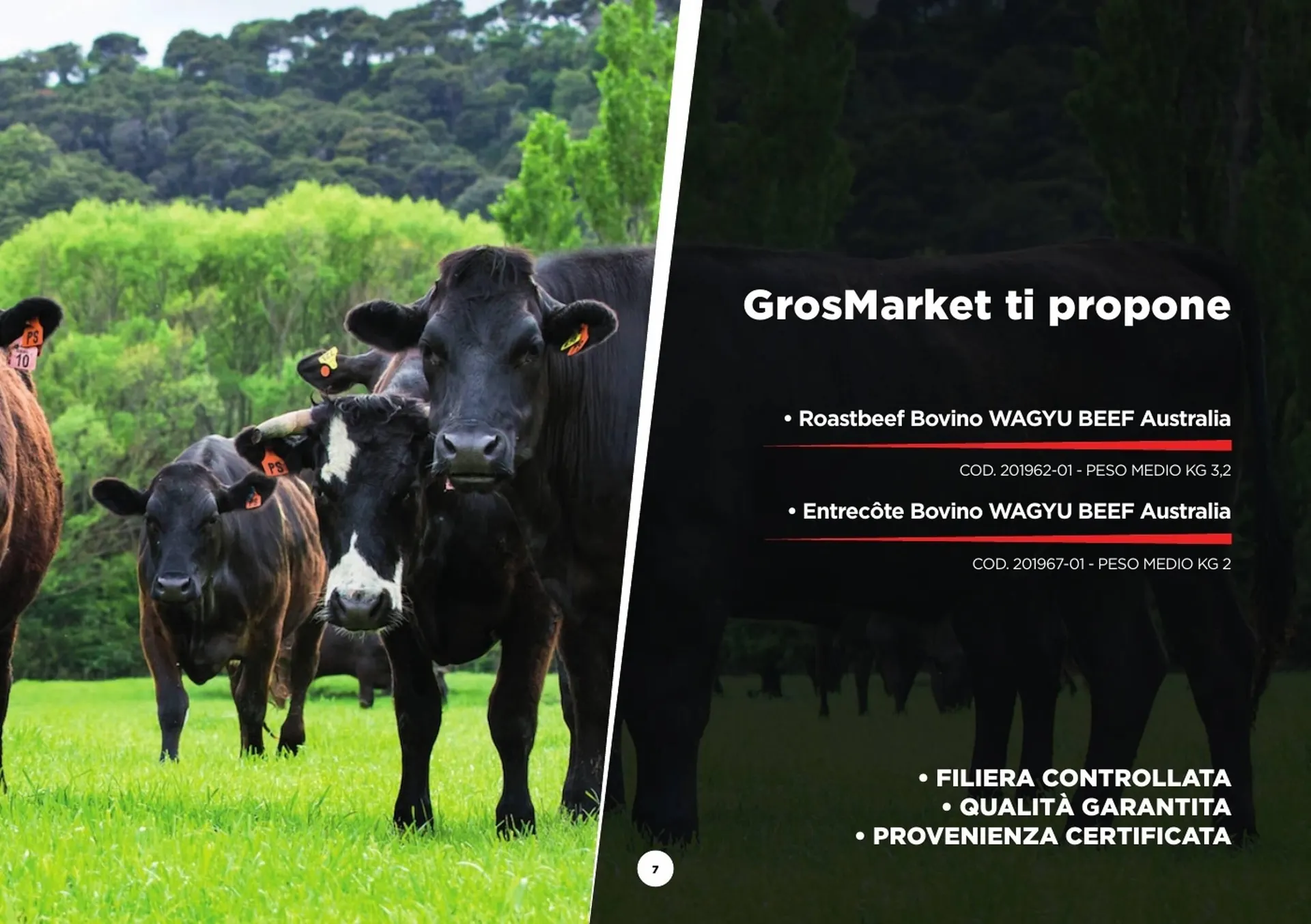 Volantino GrosMarket da 28 agosto a 30 marzo di 2025 - Pagina del volantino 7