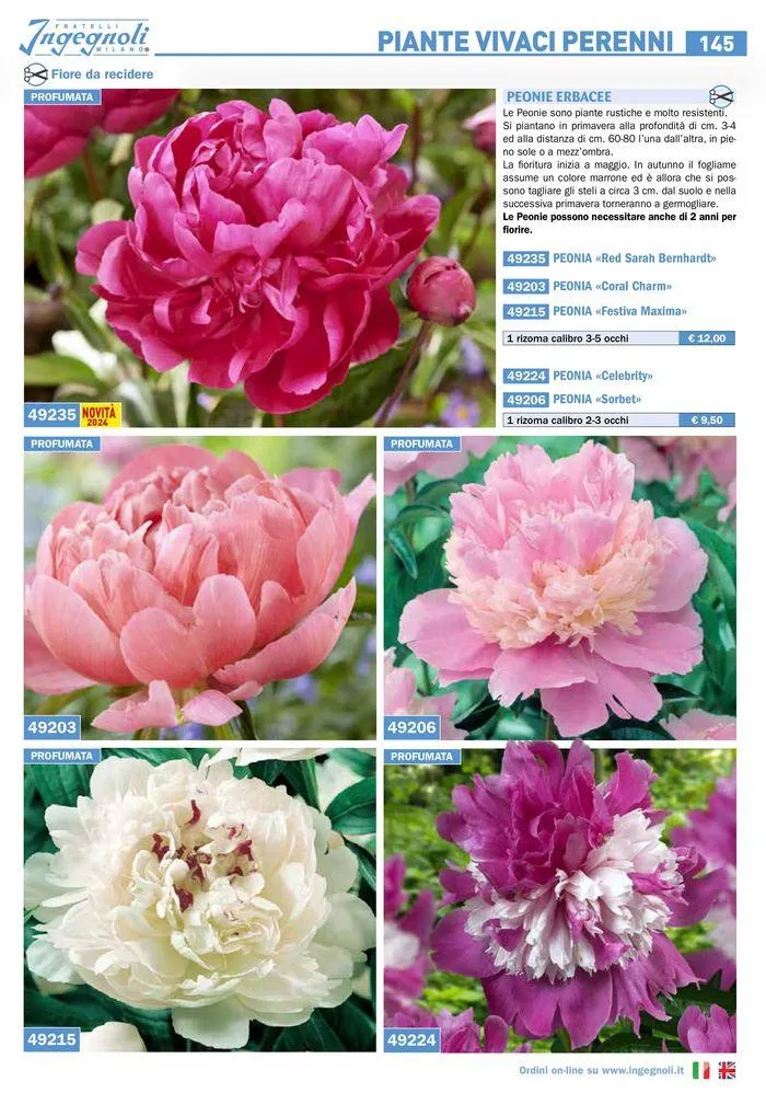 Bulbi Tuberi Rizomi da fiore da 25 marzo a 31 dicembre di 2024 - Pagina del volantino 19