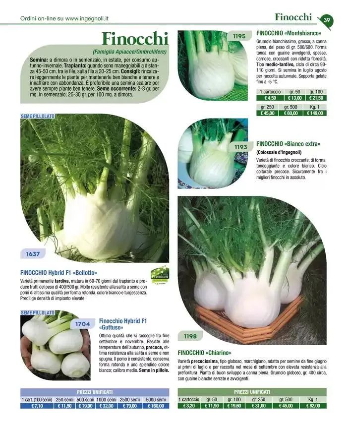 Novita 2025 da 4 novembre a 31 dicembre di 2025 - Pagina del volantino 38