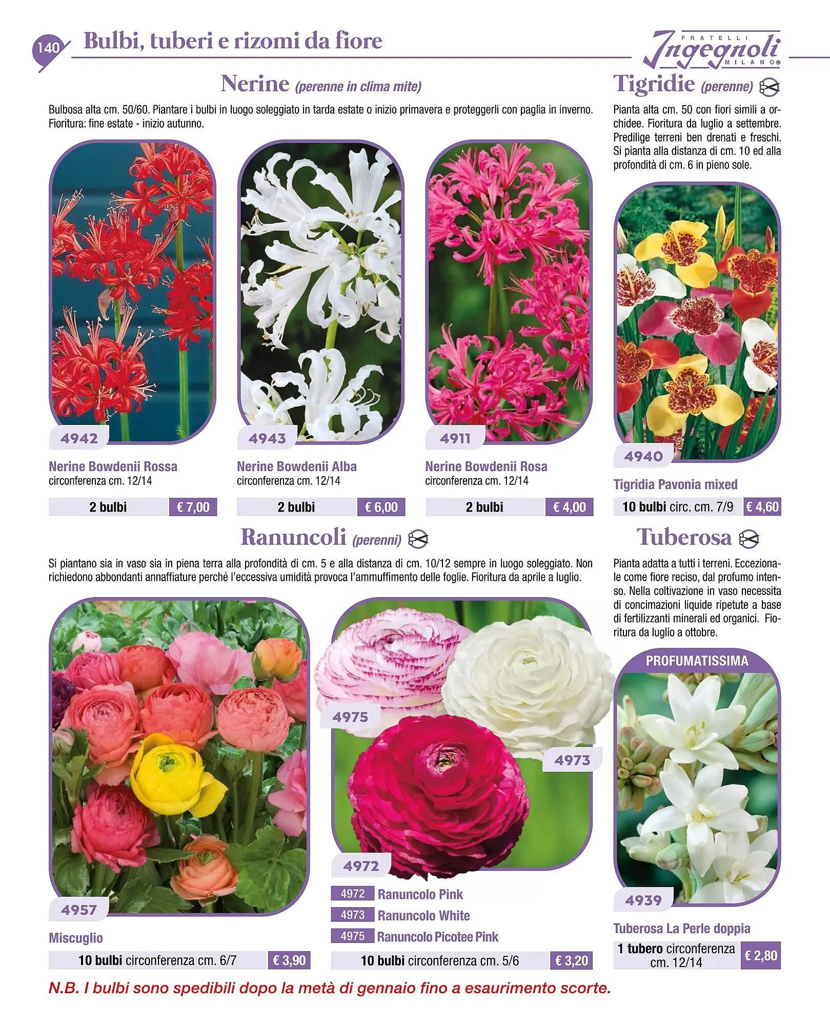 Volantino Ingegnoli da 4 novembre a 31 dicembre di 2025 - Pagina del volantino 142