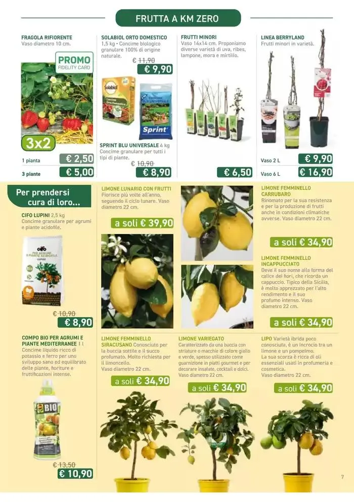 Festa di Primavera da 13 marzo a 13 aprile di 2025 - Pagina del volantino 7