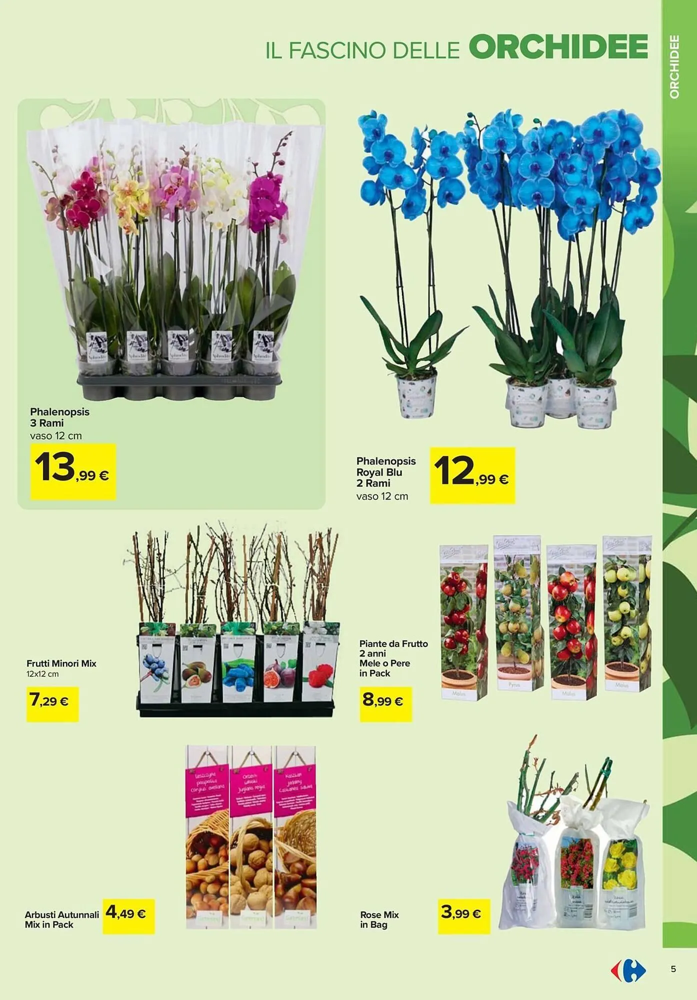 Volantino Carrefour Iper da 19 febbraio a 6 aprile di 2026 - Pagina del volantino 5