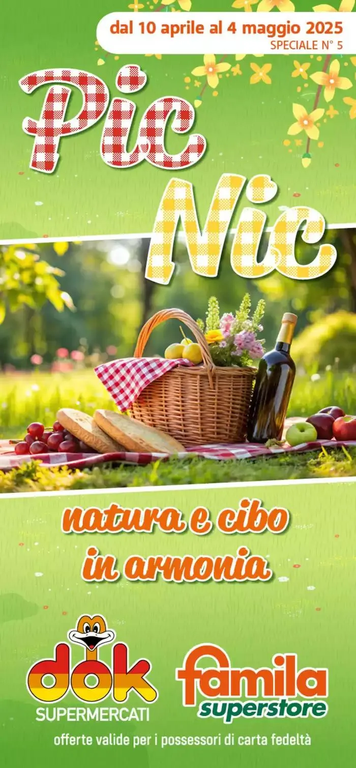Pic Nic - 1