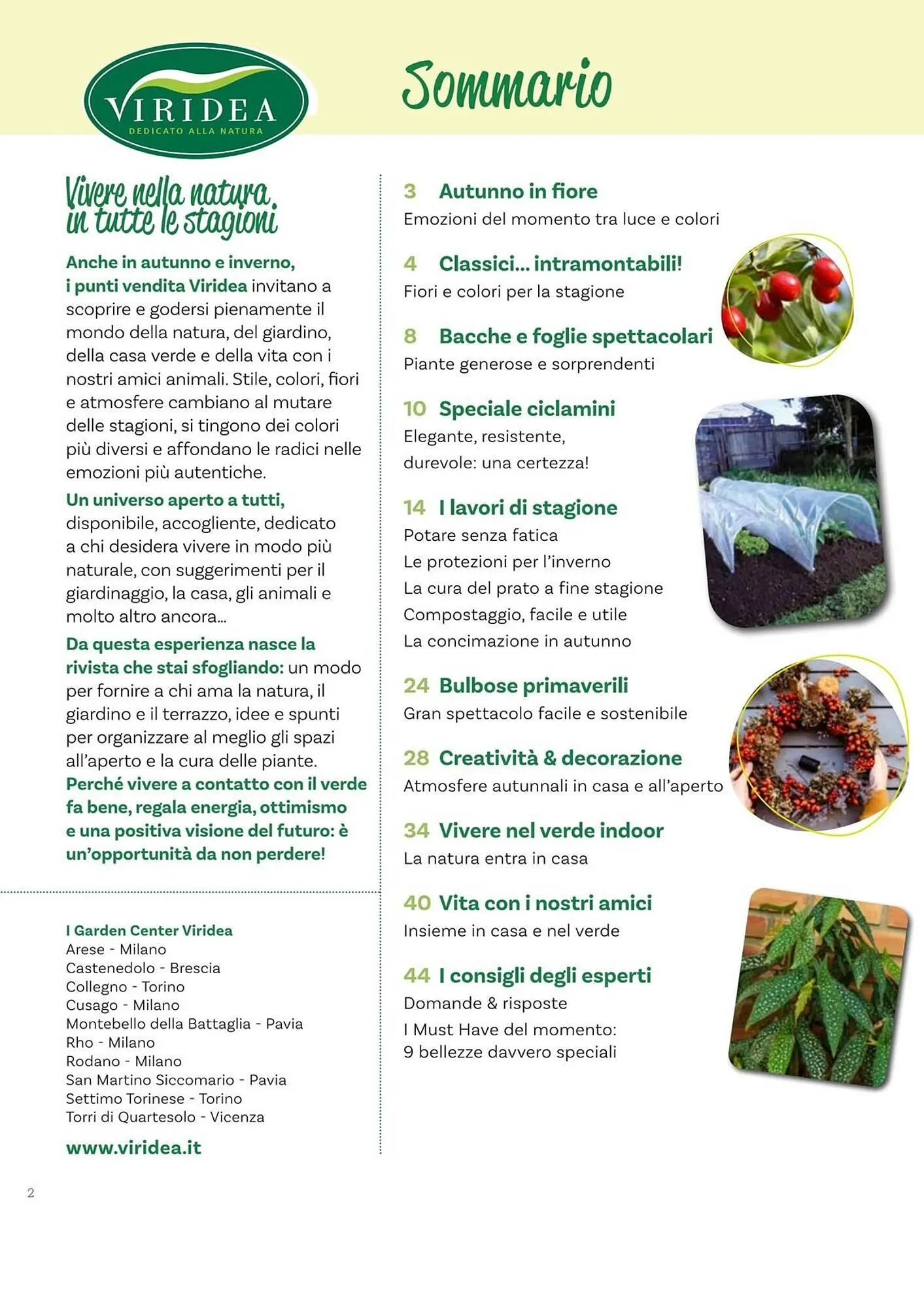 Volantino Viridea da 17 ottobre a 22 dicembre di 2025 - Pagina del volantino 2