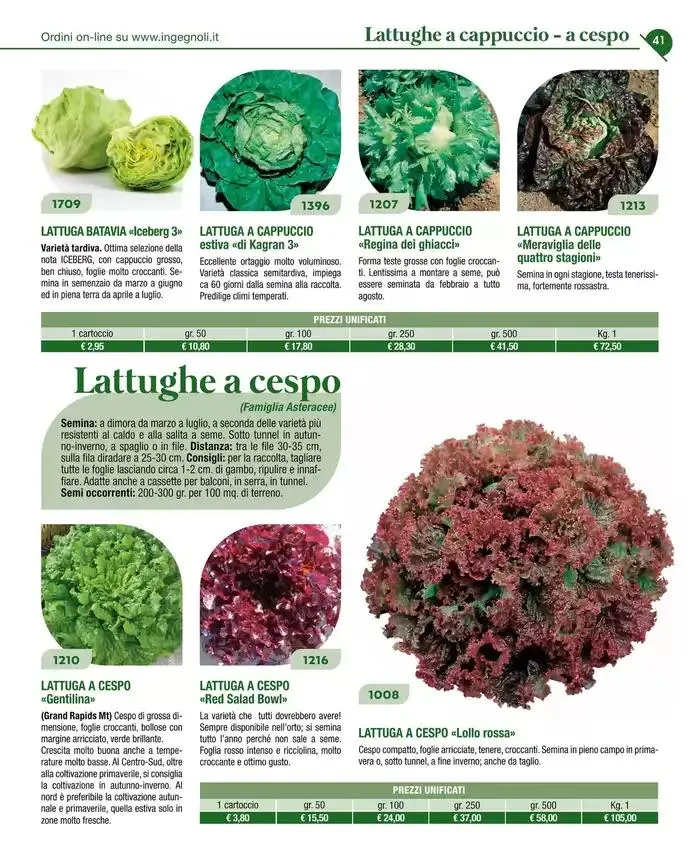 Catalogo guida 2025 da 20 gennaio a 31 dicembre di 2025 - Pagina del volantino 43