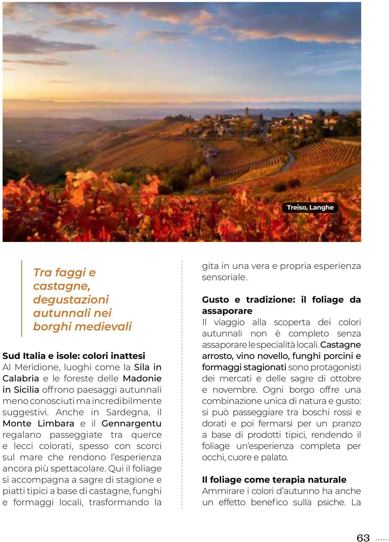 Gulliver Volantino attuale da 1 ottobre a 31 ottobre di 2025 - Pagina del volantino 63