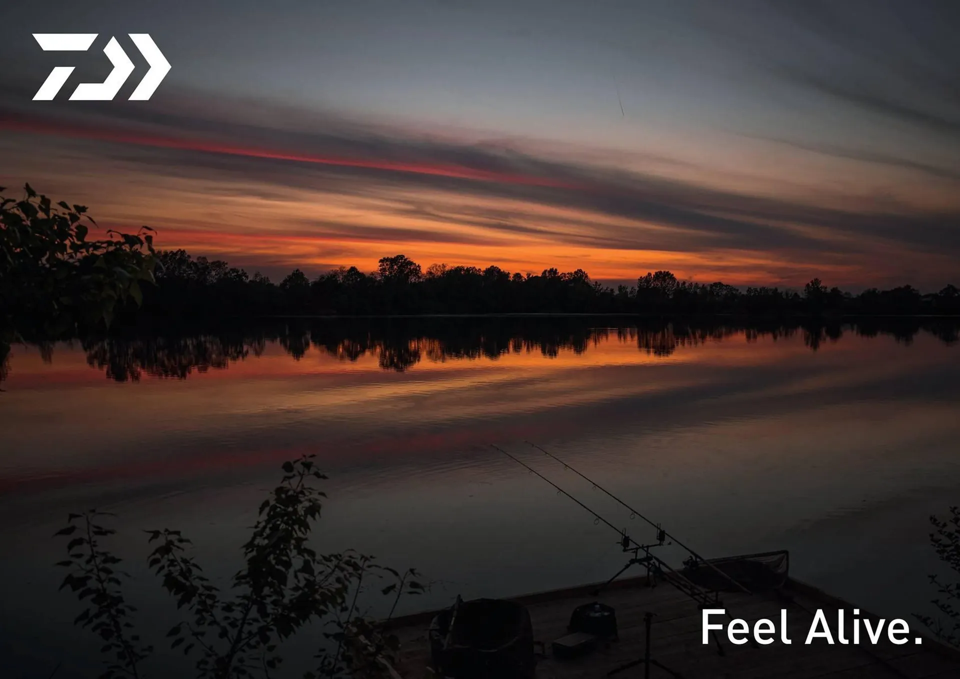 Volantino Daiwa da 13 dicembre a 30 dicembre di 2024 - Pagina del volantino 2