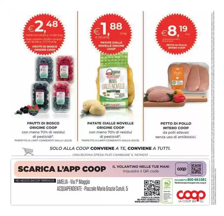 Grandi marche da 8 maggio a 21 maggio di 2025 - Pagina del volantino 28