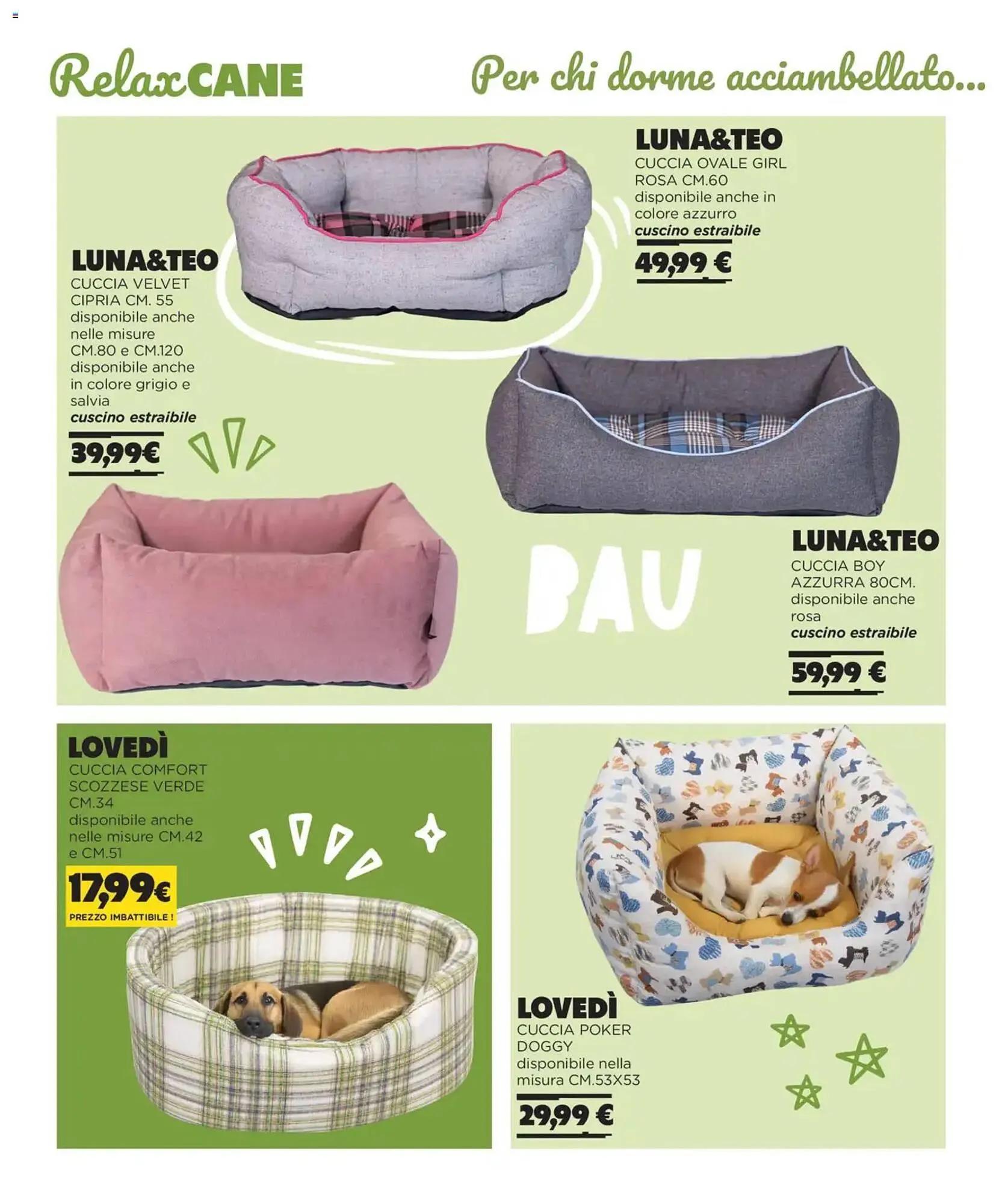 Volantino Arcaplanet da 1 novembre a 28 febbraio di 2026 - Pagina del volantino 4