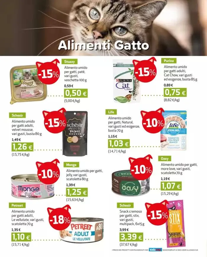 Speciale abbigliamento da 27 febbraio a 26 marzo di 2025 - Pagina del volantino 6