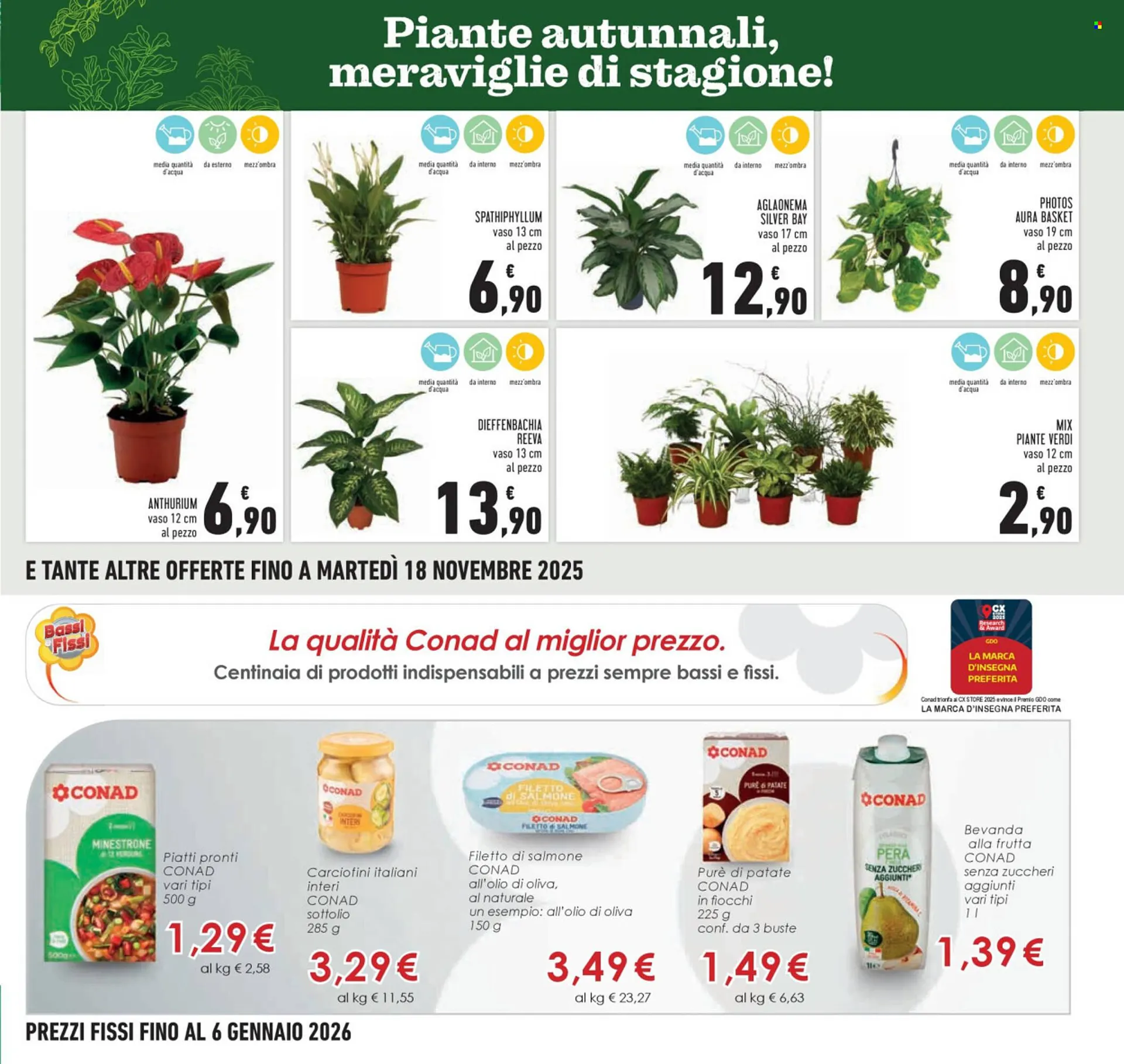Volantino Conad da 6 novembre a 18 novembre di 2025 - Pagina del volantino 7
