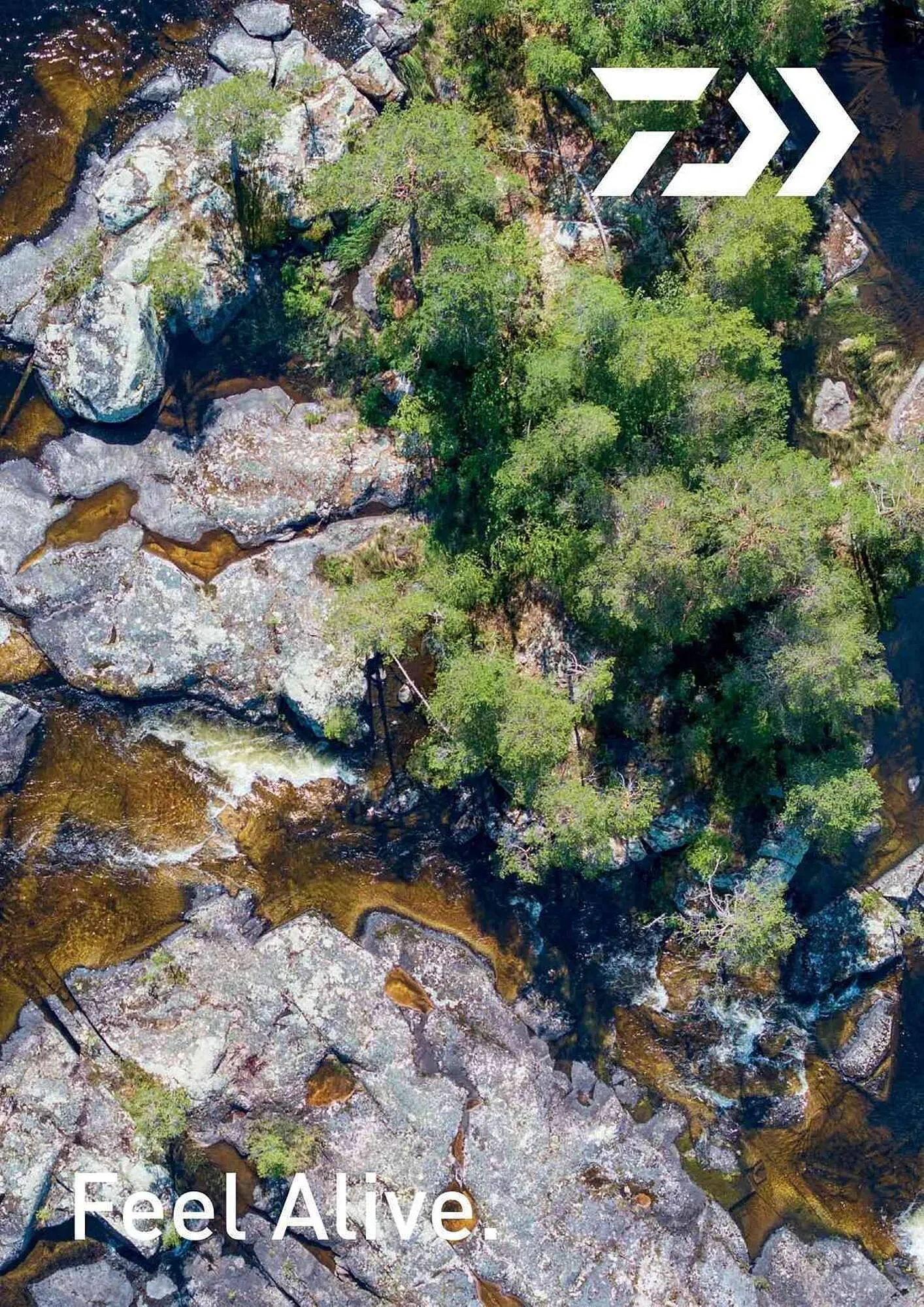 Volantino Daiwa da 4 febbraio a 31 dicembre di 2025 - Pagina del volantino 93