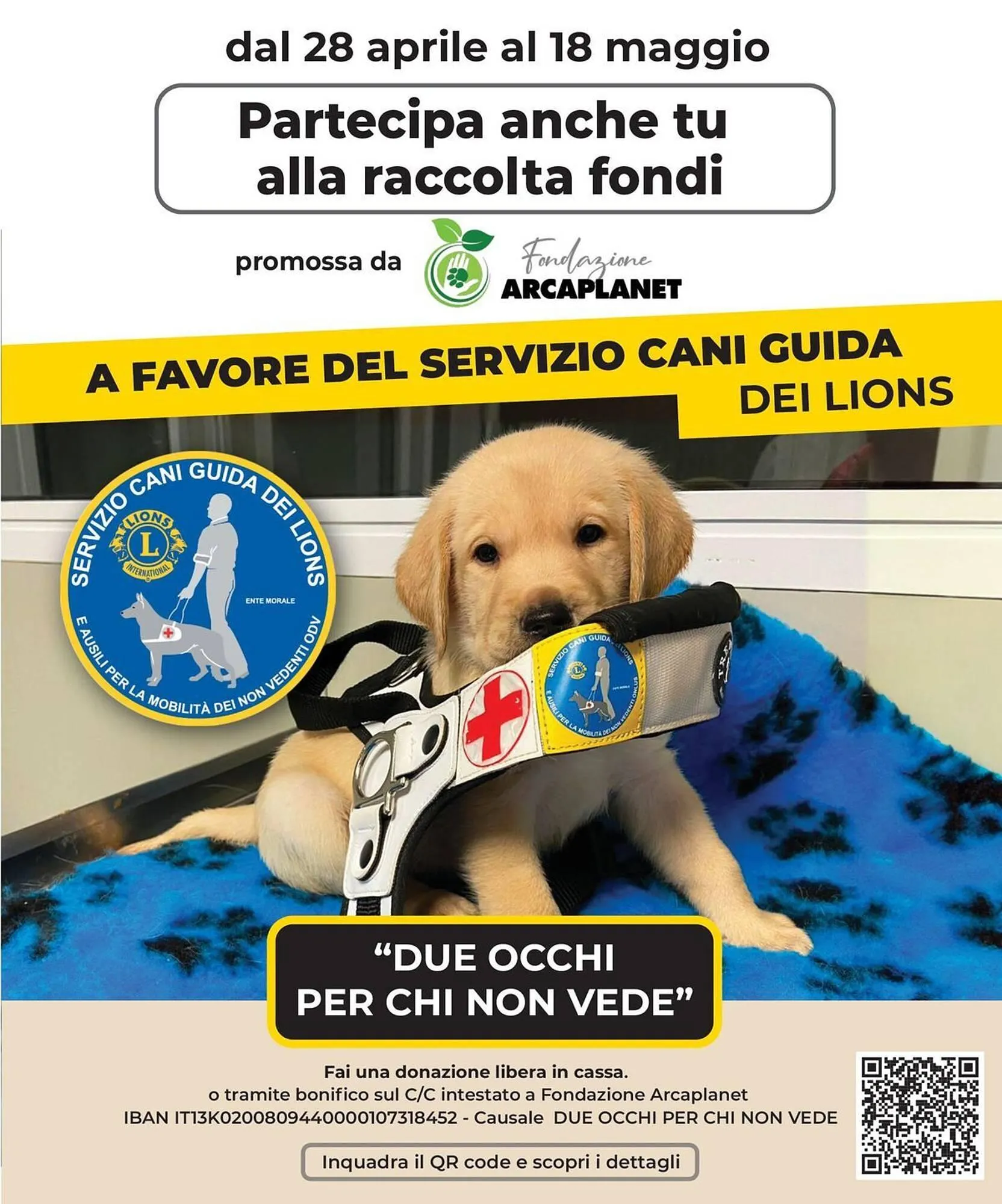 Volantino Arcaplanet da 9 maggio a 18 maggio di 2025 - Pagina del volantino 26