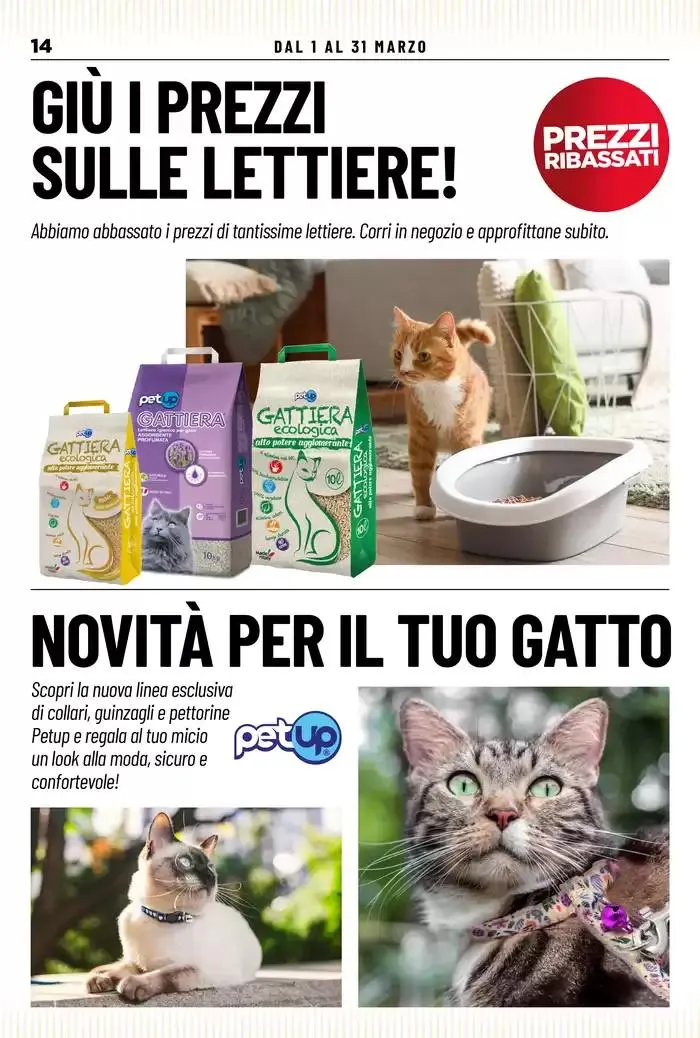 Marzo in festa! da 1 marzo a 31 marzo di 2025 - Pagina del volantino 14