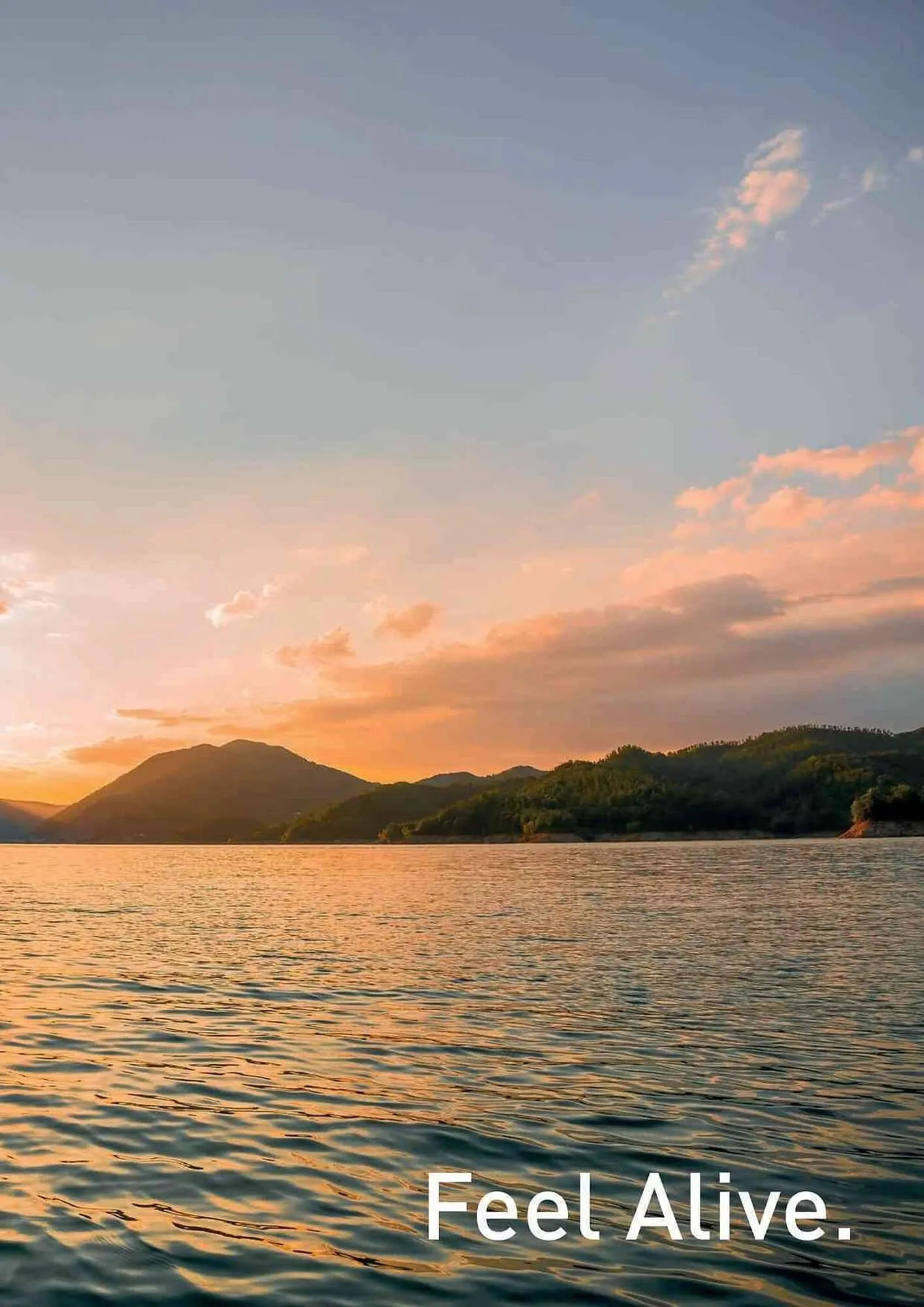 Volantino Daiwa da 4 febbraio a 31 dicembre di 2025 - Pagina del volantino 155