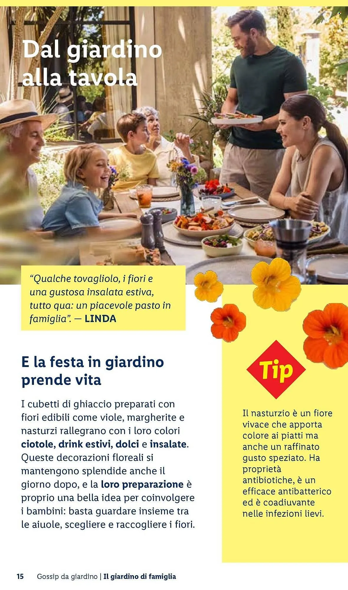 Volantino Lidl da 22 aprile a 30 aprile di 2026 - Pagina del volantino 15