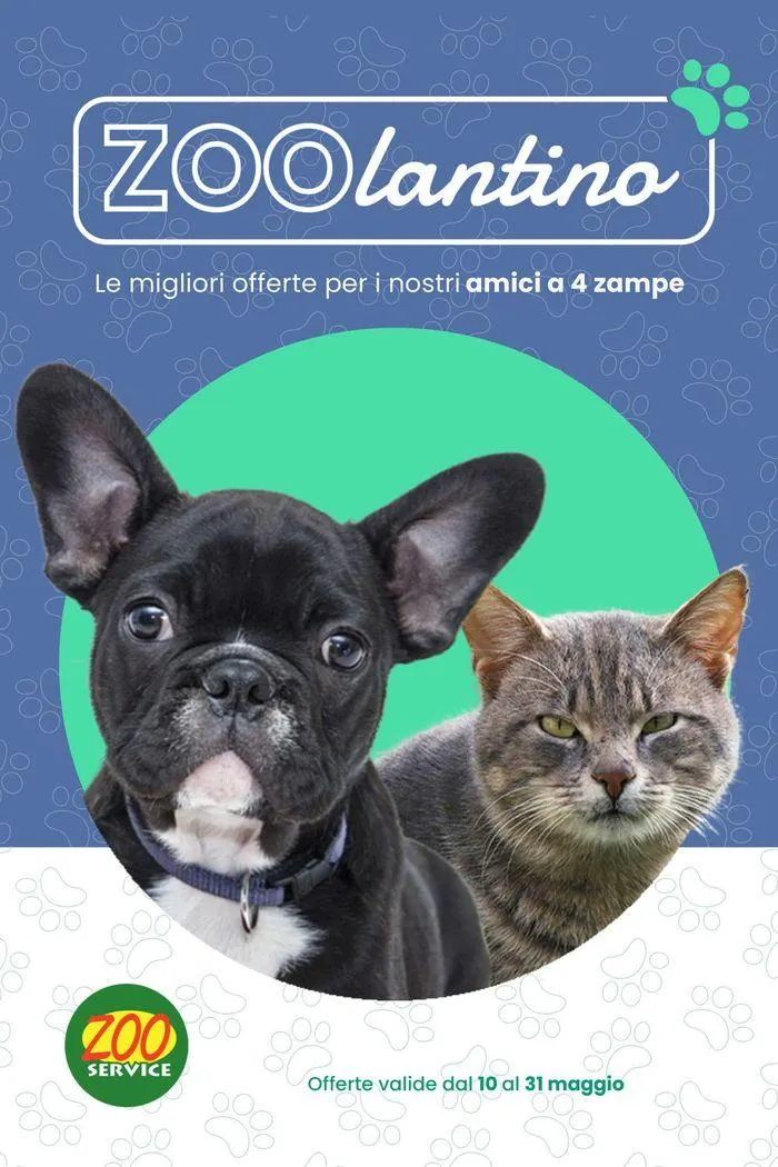 Zoo lantino - 1