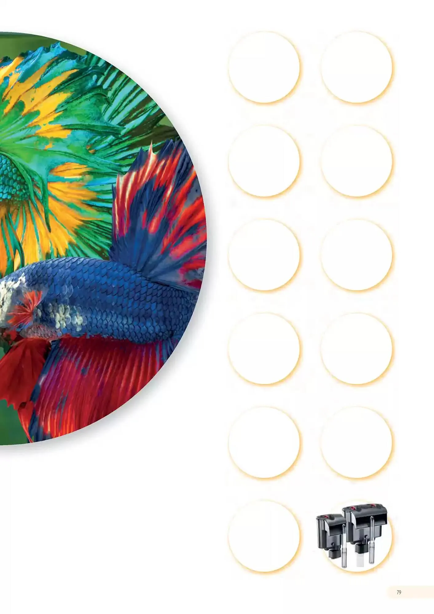 Volantino Ferplast da 13 dicembre a 31 dicembre di 2026 - Pagina del volantino 80