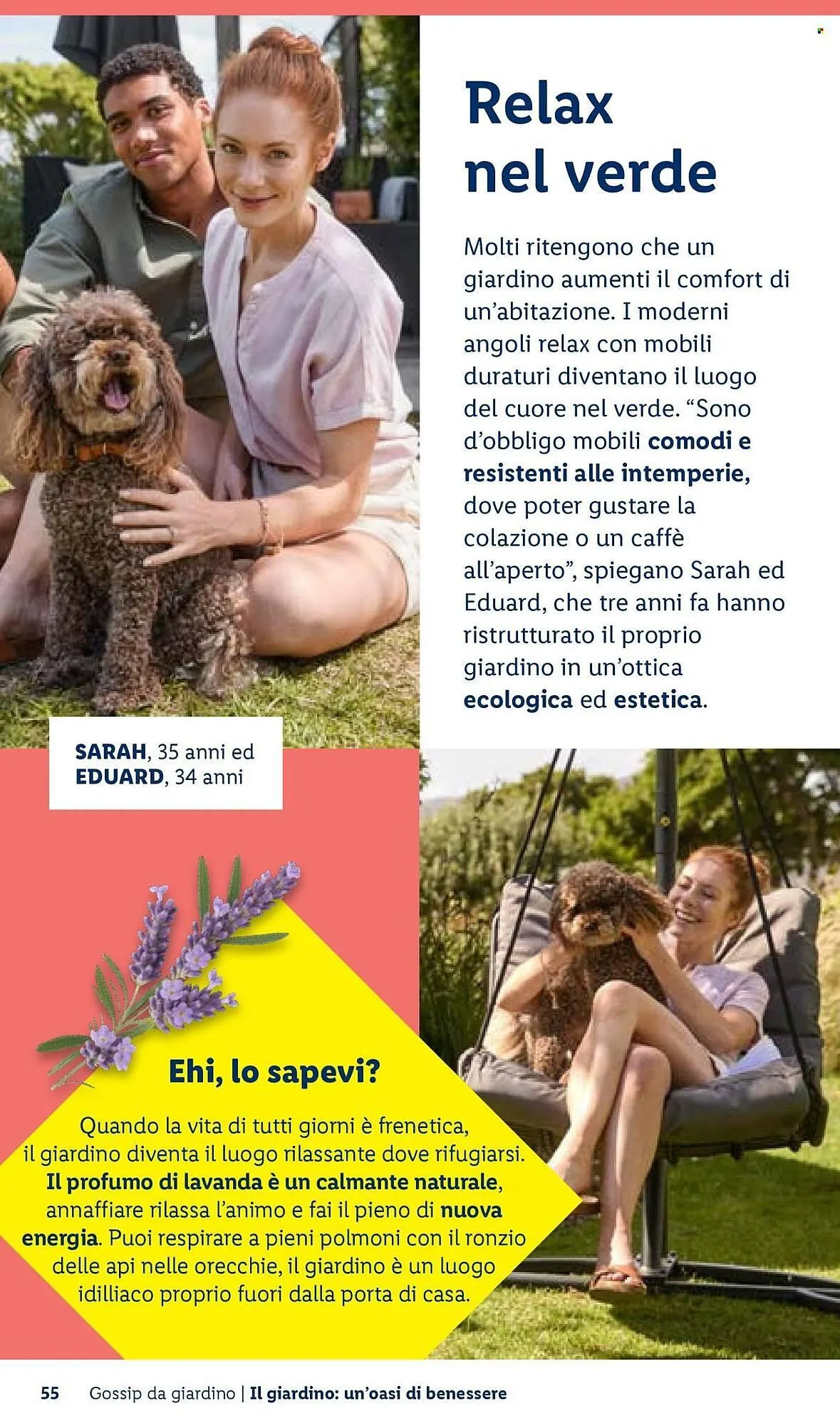 Volantino Lidl da 22 aprile a 30 aprile di 2026 - Pagina del volantino 55