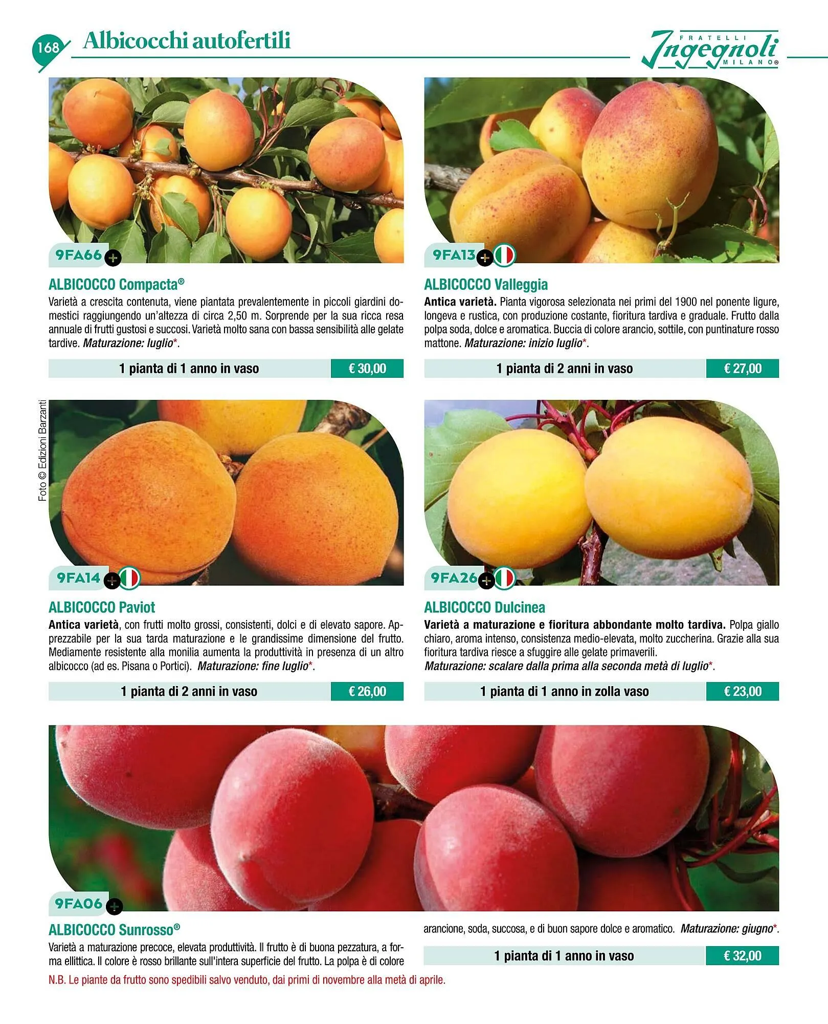 Volantino Ingegnoli da 4 novembre a 31 dicembre di 2025 - Pagina del volantino 170