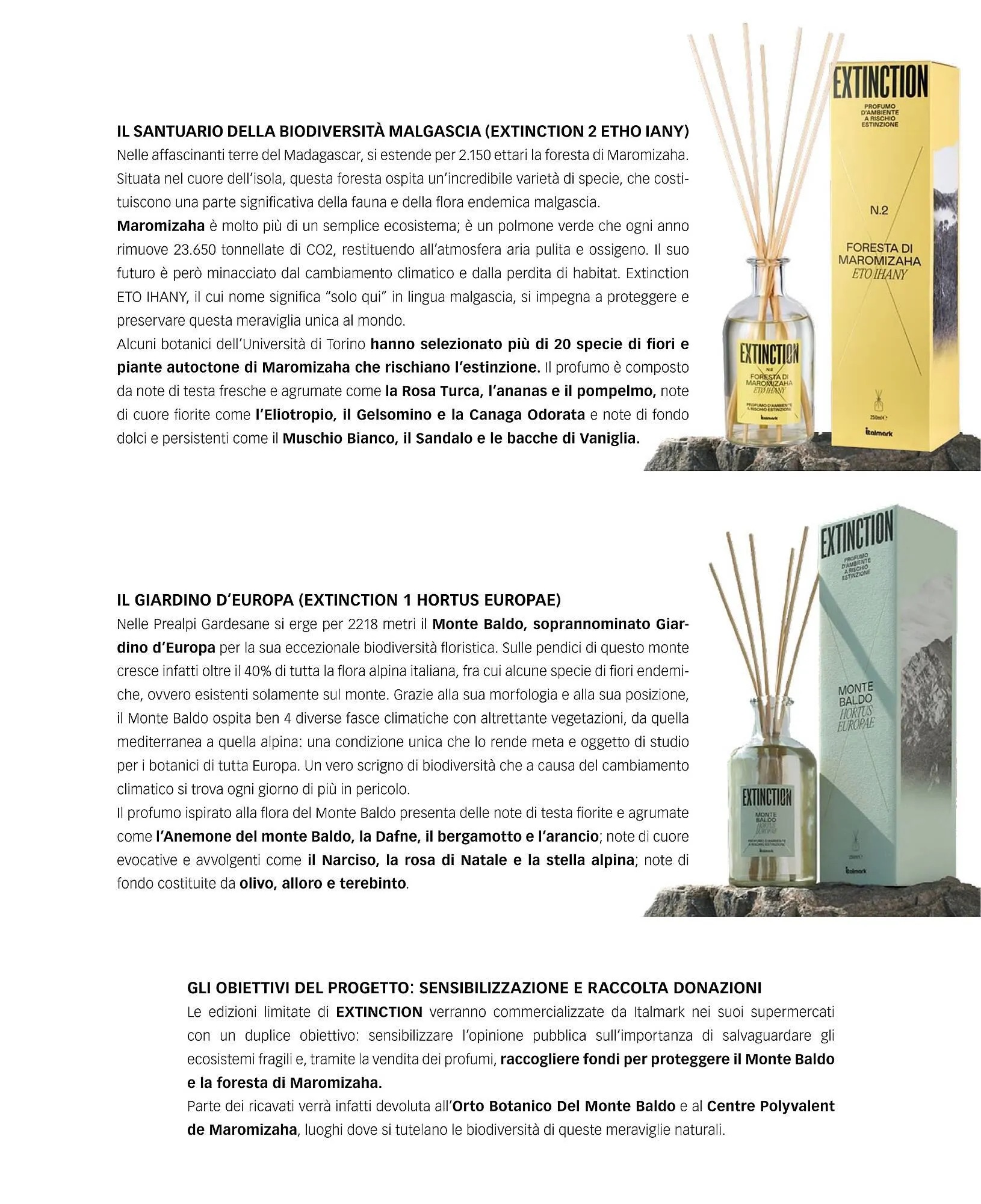 Volantino Italmark da 28 novembre a 31 dicembre di 2023 - Pagina del volantino 22