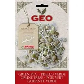 GERMOGLI - FAGIOLI ADZUKI ROSSI -