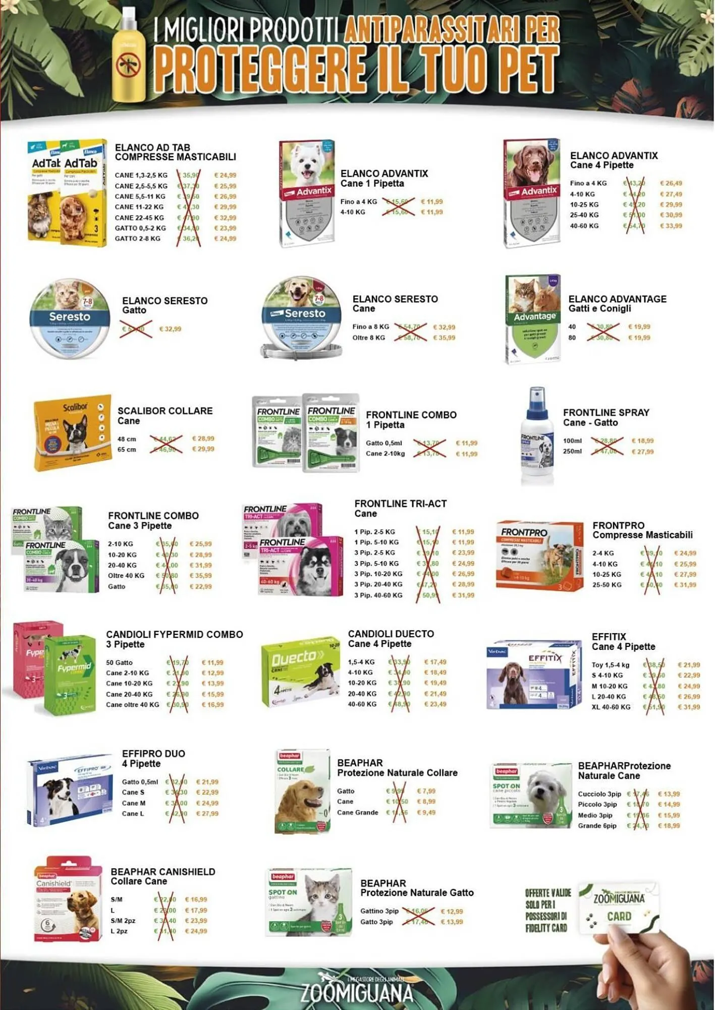 Volantino Zoomiguana da 12 marzo a 5 aprile di 2026 - Pagina del volantino 3